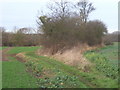 Fields near Tarston Hall