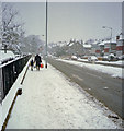 Forest Hill Road - Winter 1991