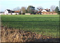 Across fields to Barking Tye from Overhall Farm