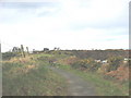 View westwards along the cliff top path