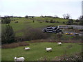 Sheep pasture and hillside