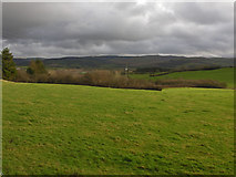 SN6966 : Fields east of Swyddffynnon by Nigel Brown