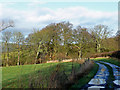 Track to Heightley New Barn