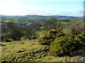 View west over Churchstoke