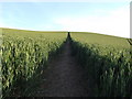 Furze Hill public footpath