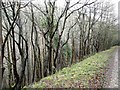 Track into Cwm Gwyddon