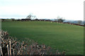 Sheep pasture north of Warbury