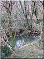 Woolleigh Brook