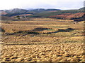 Tweeddale in winter