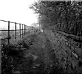 SE1130 : Footpath at Scarlet Heights, Queensbury by Dr Neil Clifton