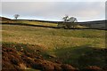 Agill House Farmland