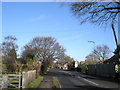 Looking down Salthill Road