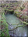 Llanfyrnach mine:  waterwheel pit