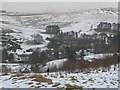 Tormaukin from above Bankfoot