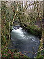 Afon Taf at Llanfyrnach