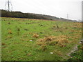 Dunstable: Cottage Bottom Fields Local Nature Reserve (2)