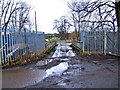 Bridge over River Stour near Wilden Pool