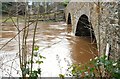 The River Bann in flood (2)