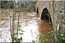 J1644 : The River Bann in flood (2) by Albert Bridge