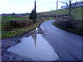 Puddle by road