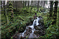 NN1888 : Waterfall near Loch Arkaig by Steven Brown