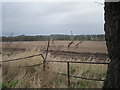 Across the fields to Boarpit Rough