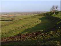 SP7521 : Quainton Hill by Andrew Smith