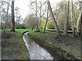 Bournemouth Gardens: stream among trees