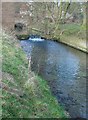 The Weir in Nafferton