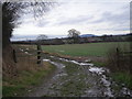 Footpath east from Whitley Grange