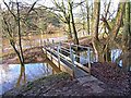 Footbridge over stream feeding River Severn