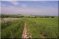 Pathway to Wharram Percy