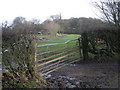 Farm track into Broomhill Wood