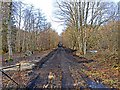 Dismantled Railway Line west of Dalhonzie