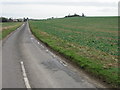 Looking NE along the Ripple Road