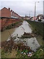 Muddy Beck - Westgate End