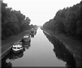 Chesterfield Canal. looking west from West Stockwith