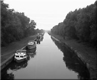 SK7894 : Chesterfield Canal. looking west from West Stockwith by Dr Neil Clifton