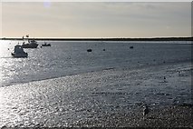 TM4249 : Low tide at Orford by Bob Jones