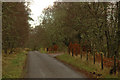 Road and entrance to houses near Redburn