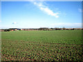 Undulating farmland