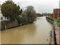 Old River Ancholme