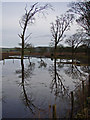 Flooded field near Genoch Mains