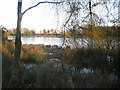 Pond adjacent to Maryhill Woods