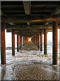 TM5176 : Under the Pier by Alison Rawson