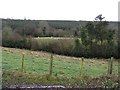 Drumcrin Townland