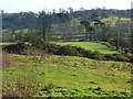 Farmland and copse, Avon Dassett