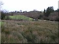 Crilly Townland