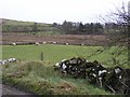 Meenclogher Townland