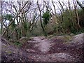 Uneven wooded ground near Lime Kiln Lane.